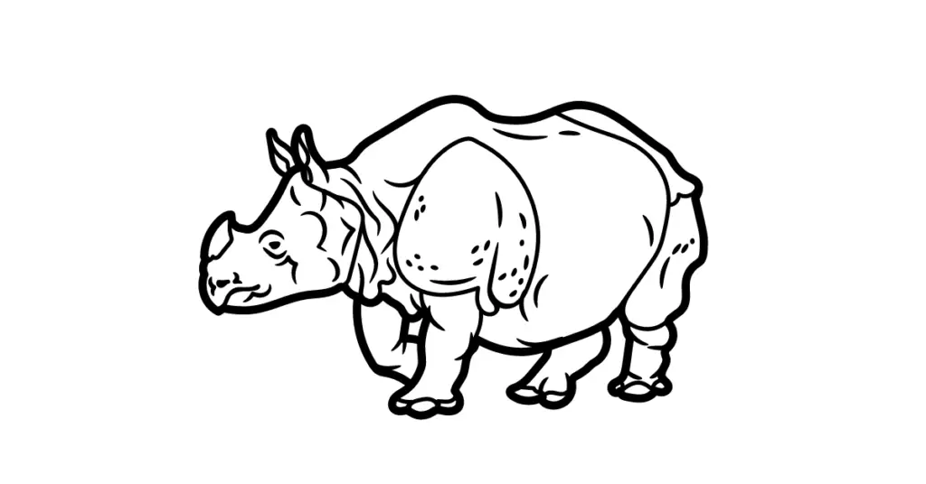Coloring pages of rhinos