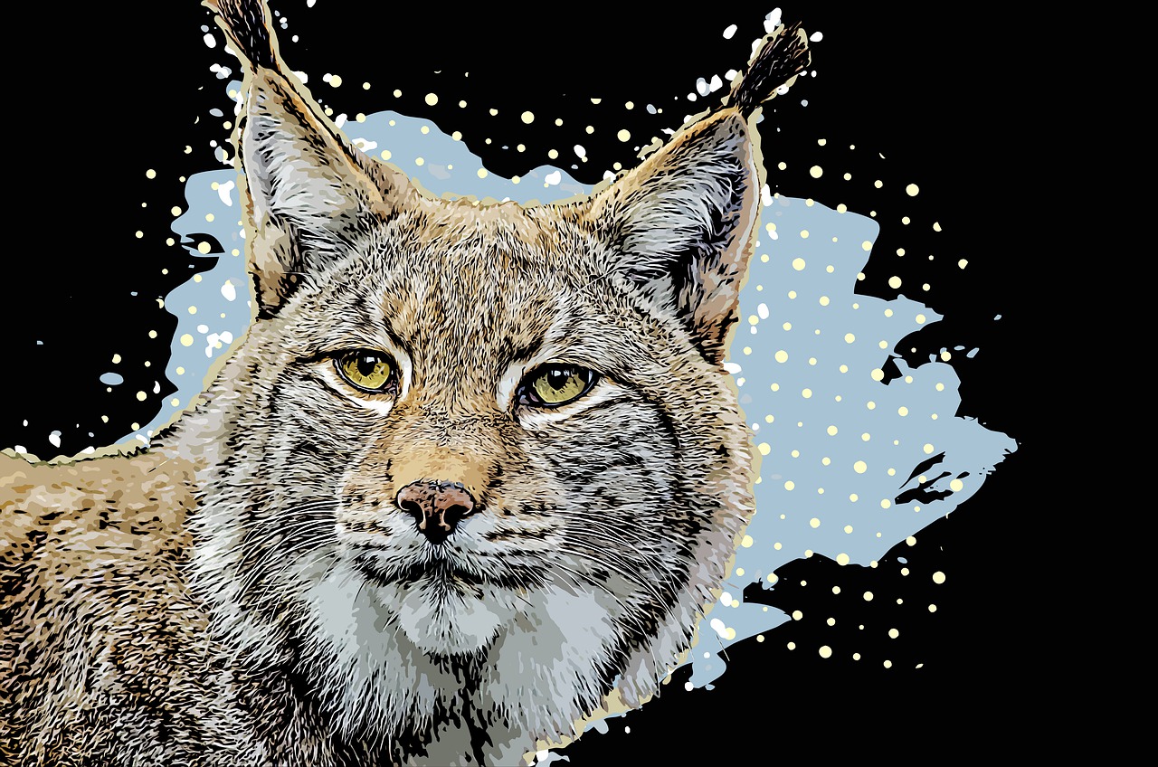 Bobcat Colors: What Color Are Bobcats? - Simply Ecologist