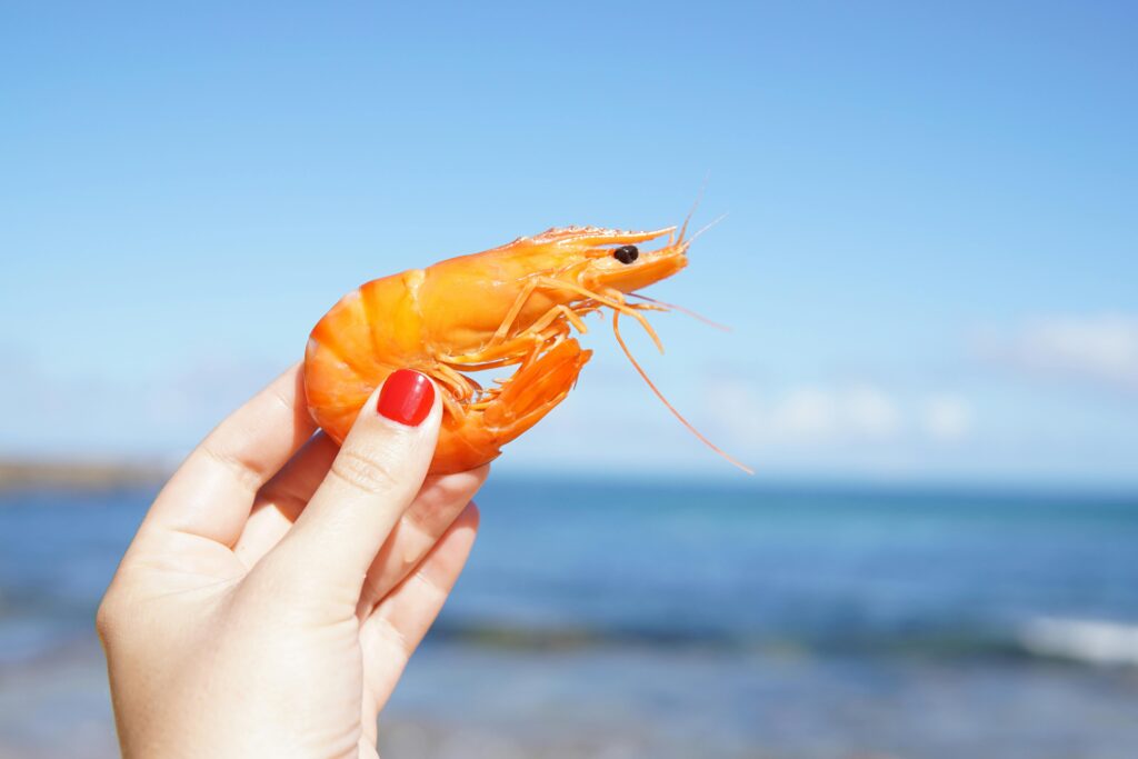 Identifying Shrimp Predators: What Eats Shrimp
