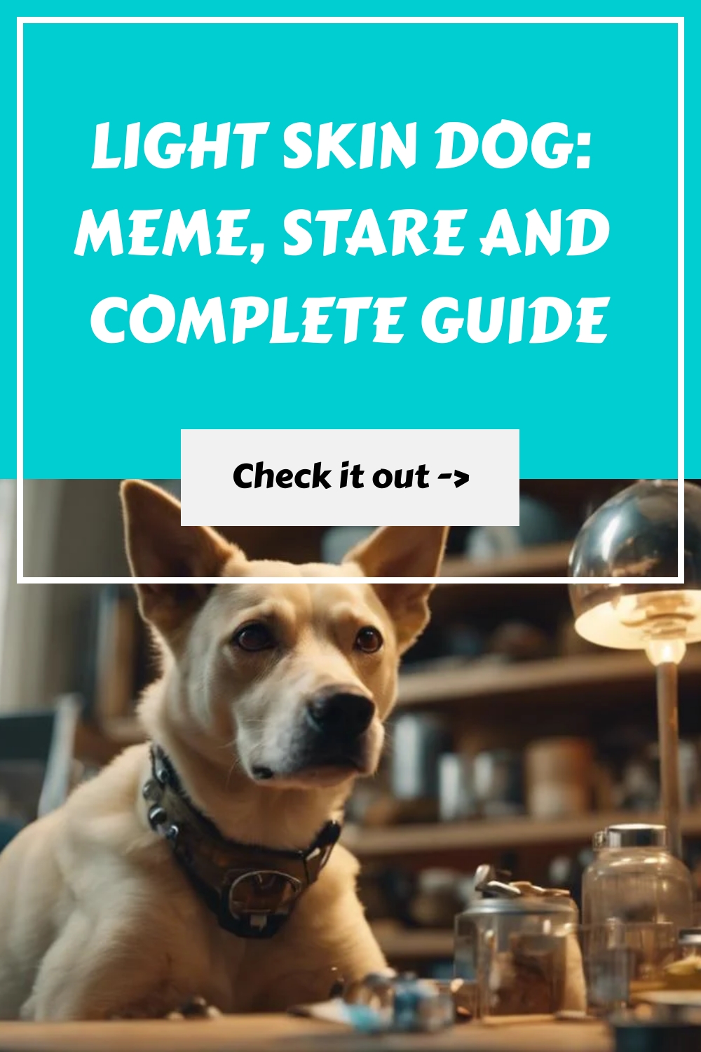 Light Skin Dog: Meme, Stare and Complete Guide