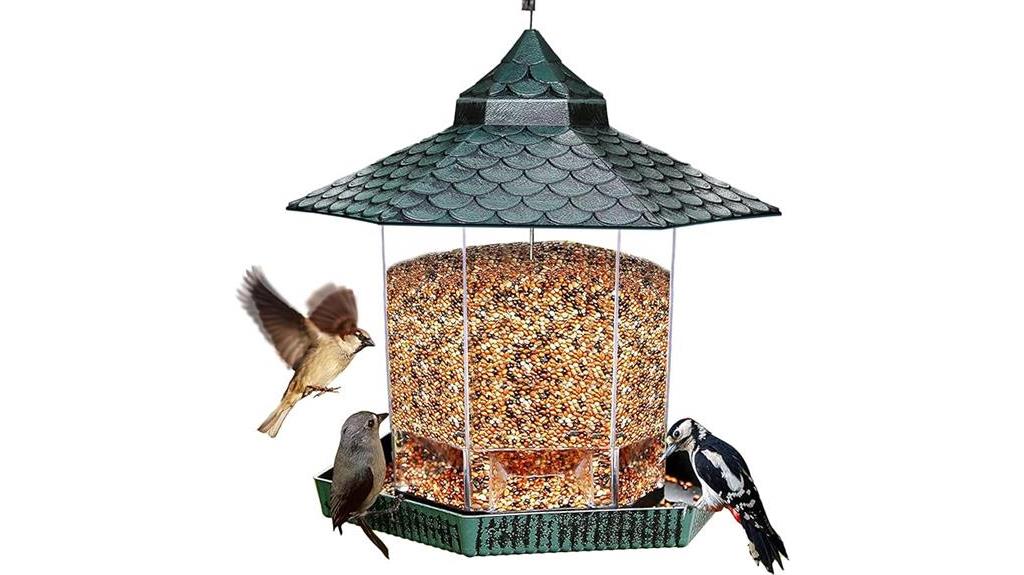 unique bird feeding system
