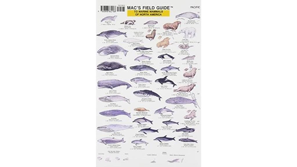 marine mammals field guide