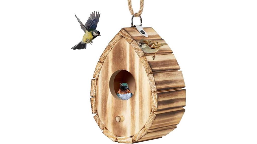 15 Amazing Hummingbird Nest Boxes to Attract These Iridescent Birds to ...