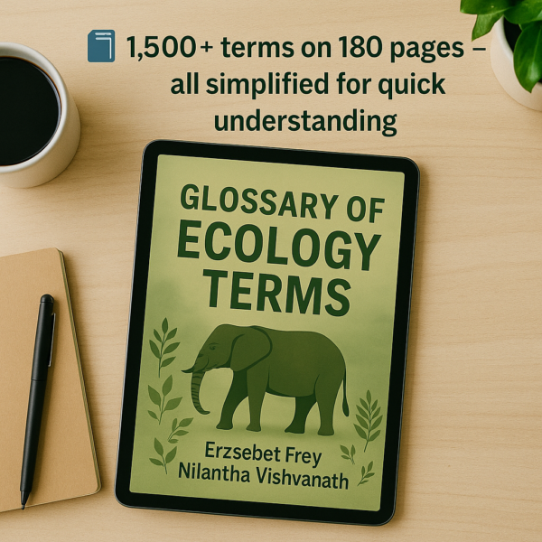 Glossary of Ecology Terms eBook - Image 4