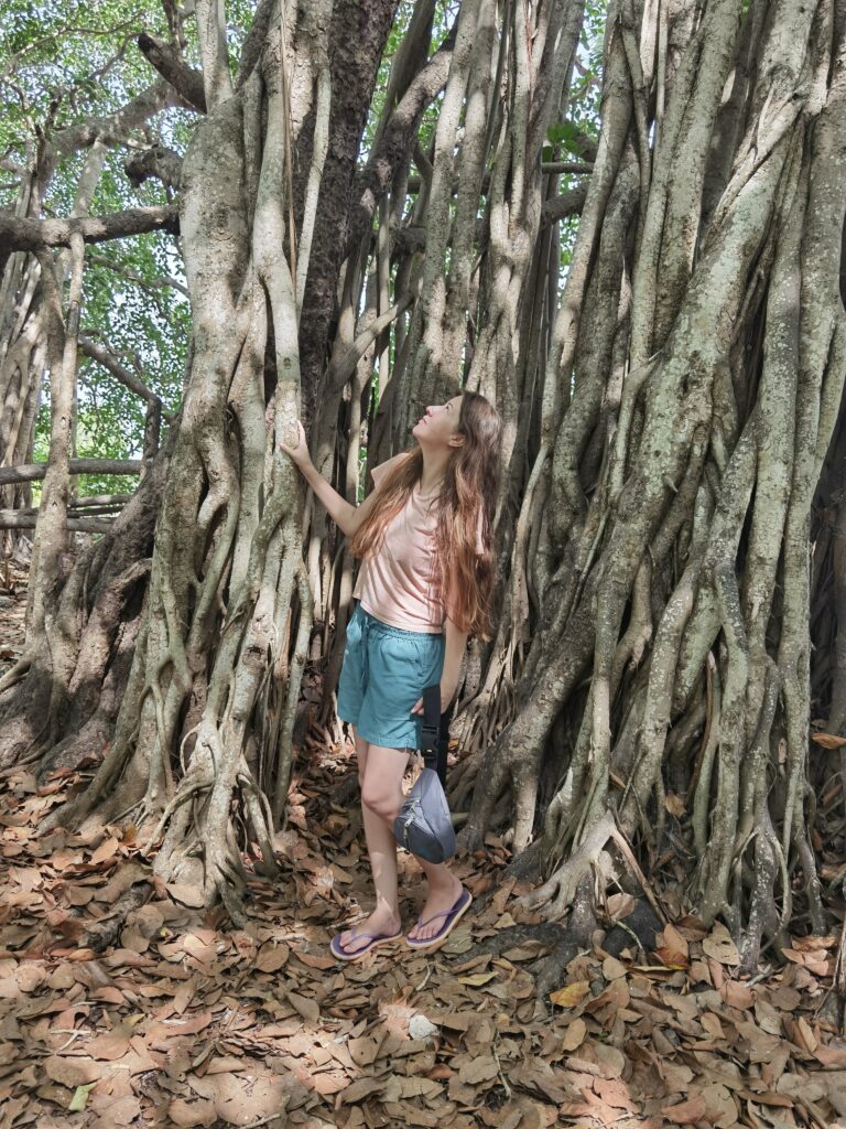 Delft Island Sri Lanka: Best Travel Guide + Things To Do 6 Delft Island Sri Lanka: Best Travel Guide + Things To Do
