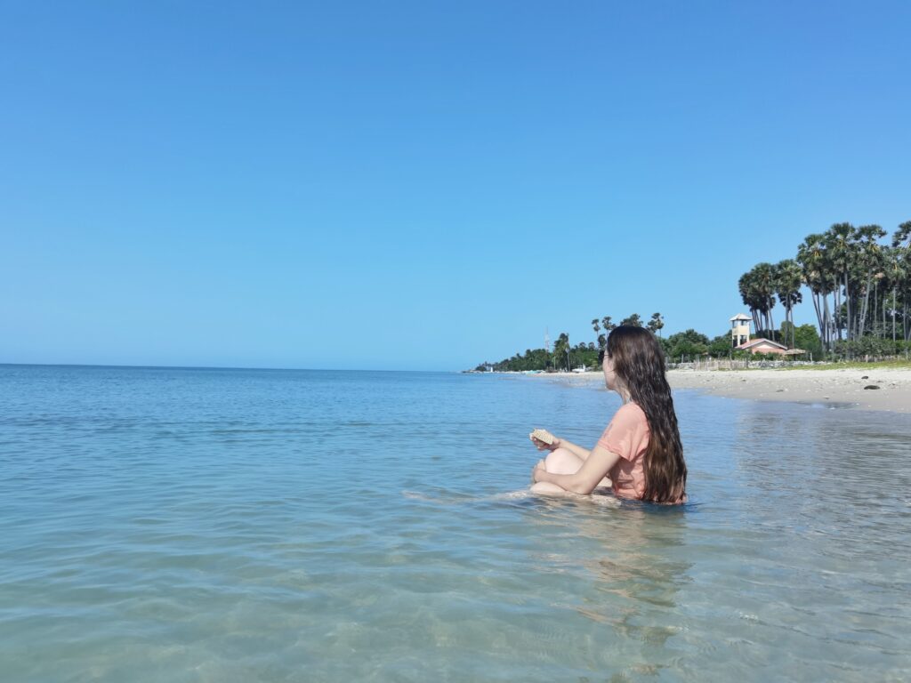 Delft Island Sri Lanka: Best Travel Guide + Things To Do 12 Delft Island Beach