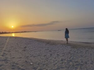 Delft Island Sri Lanka: Best Travel Guide + Things To Do