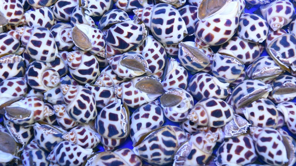 marine biology book recommendations