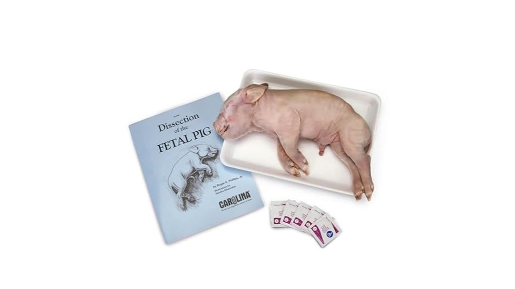 14 Best Animal Dissection Kits for Educational Learning and Scientific Study 9 pig anatomy educational kit