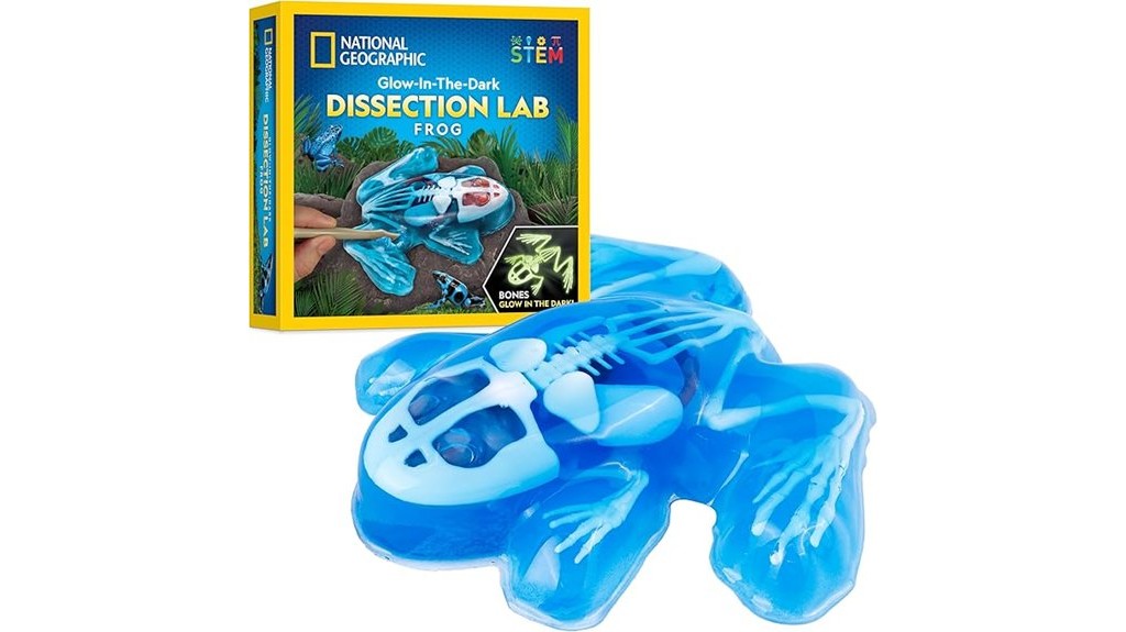 14 Best Animal Dissection Kits for Educational Learning and Scientific Study 5 glow in the dark frog dissection