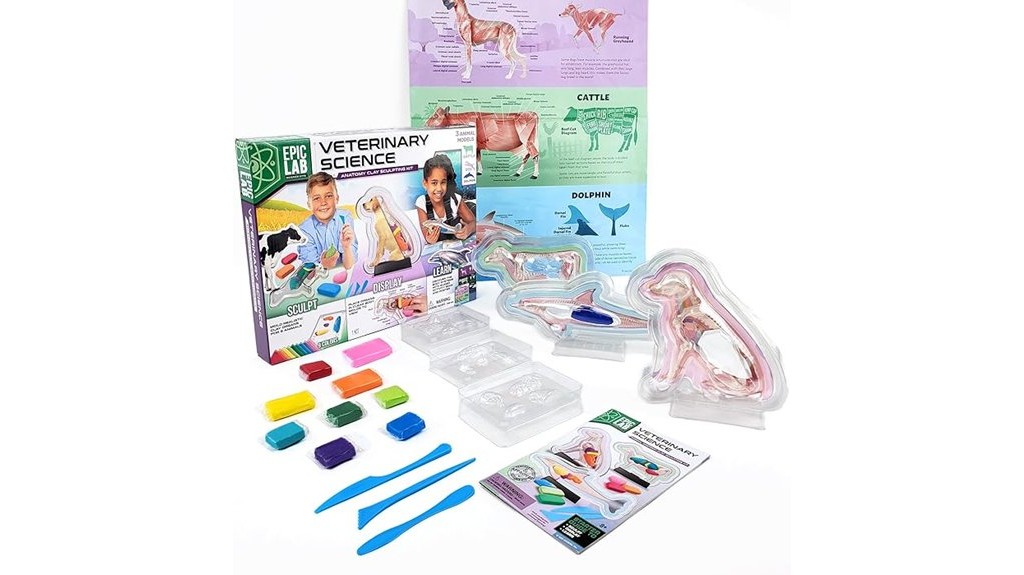 14 Best Animal Dissection Kits for Educational Learning and Scientific Study 12 kids animal anatomy kit