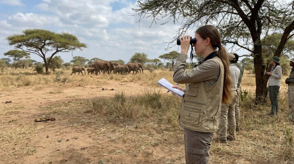 Wildlife Conservation Internships