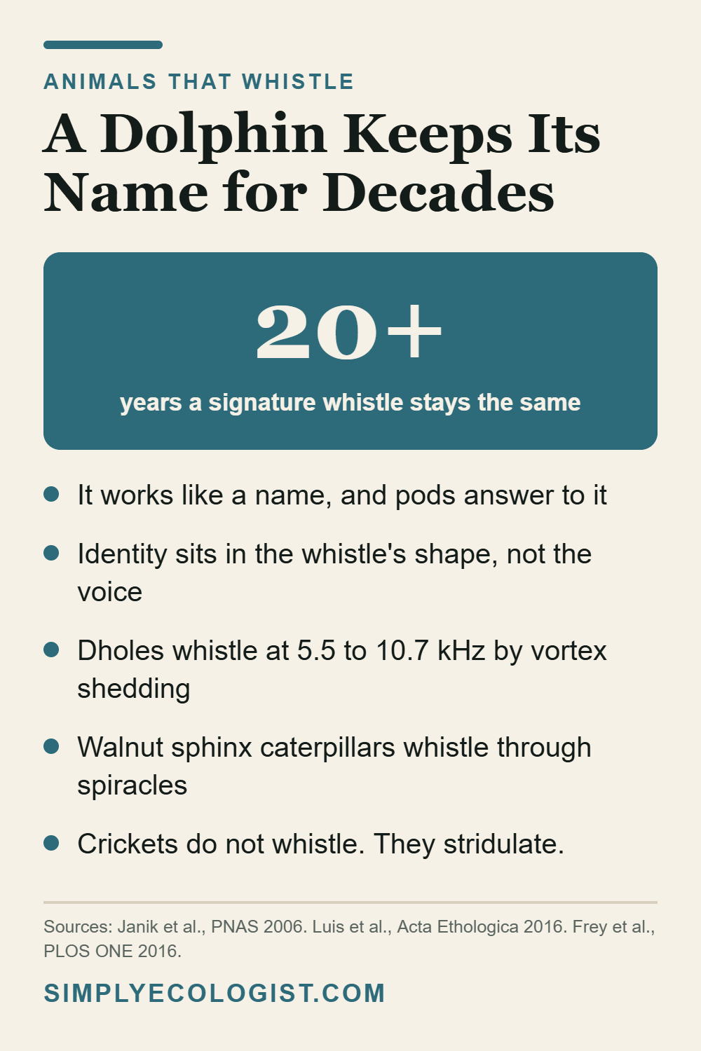 Animals That Whistle 7 Animals that whistle, showing dolphin signature whistles stable for over twenty years and the mechanisms other whistling animals use