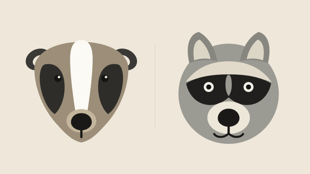 Badger vs Raccoon: How to Tell Them Apart and Which One Is in Your Yard 3 Minimal flat illustration comparing an American badger with its white nose to crown stripe against a raccoon with its black bandit mask