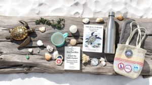 sea turtle gifts collection