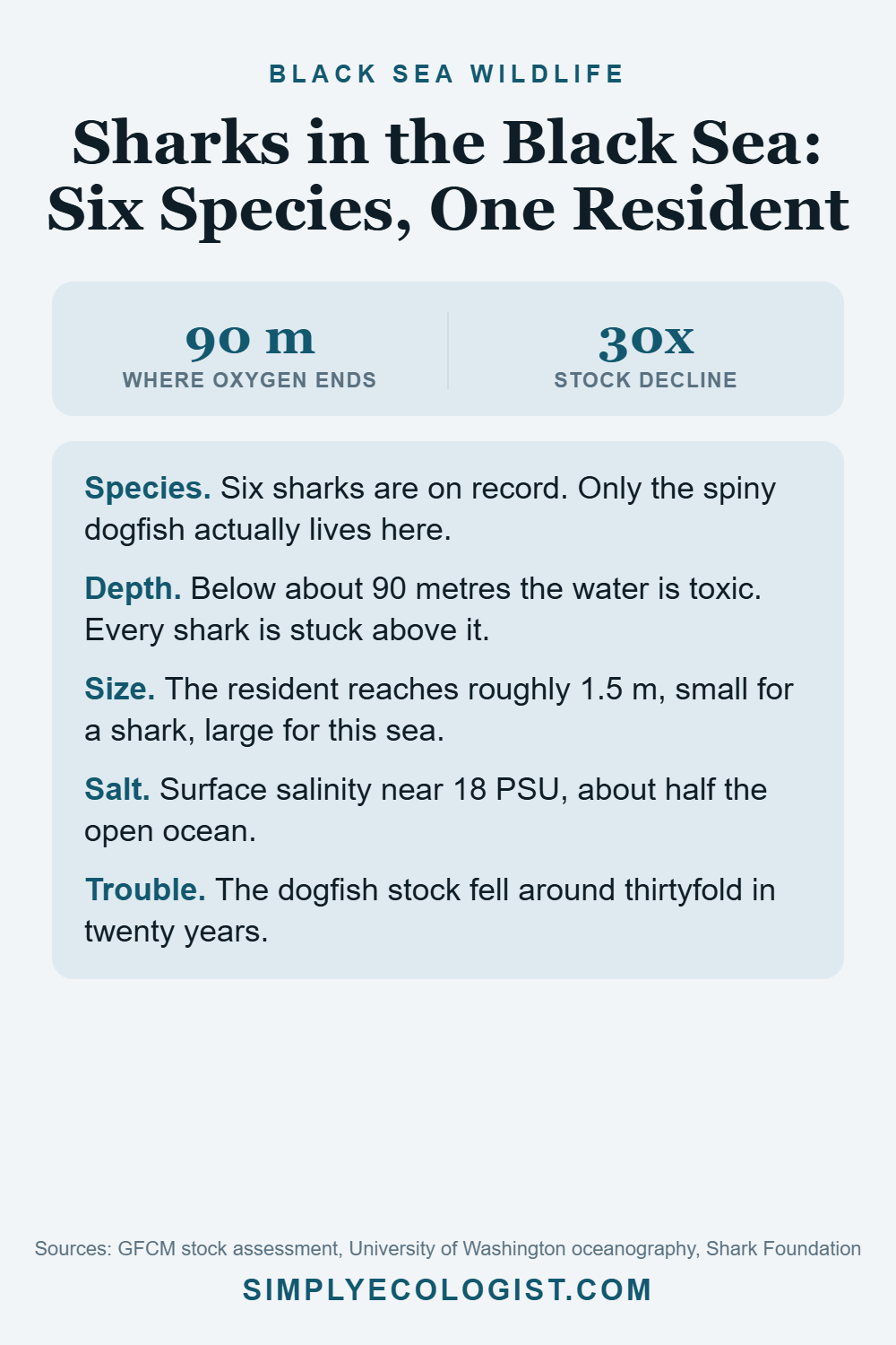 Pinterest graphic titled Sharks in the Black Sea Six Species One Resident, showing that oxygen ends at about 90 metres and the spiny dogfish stock fell around thirtyfold, plus depth, size and salinity facts