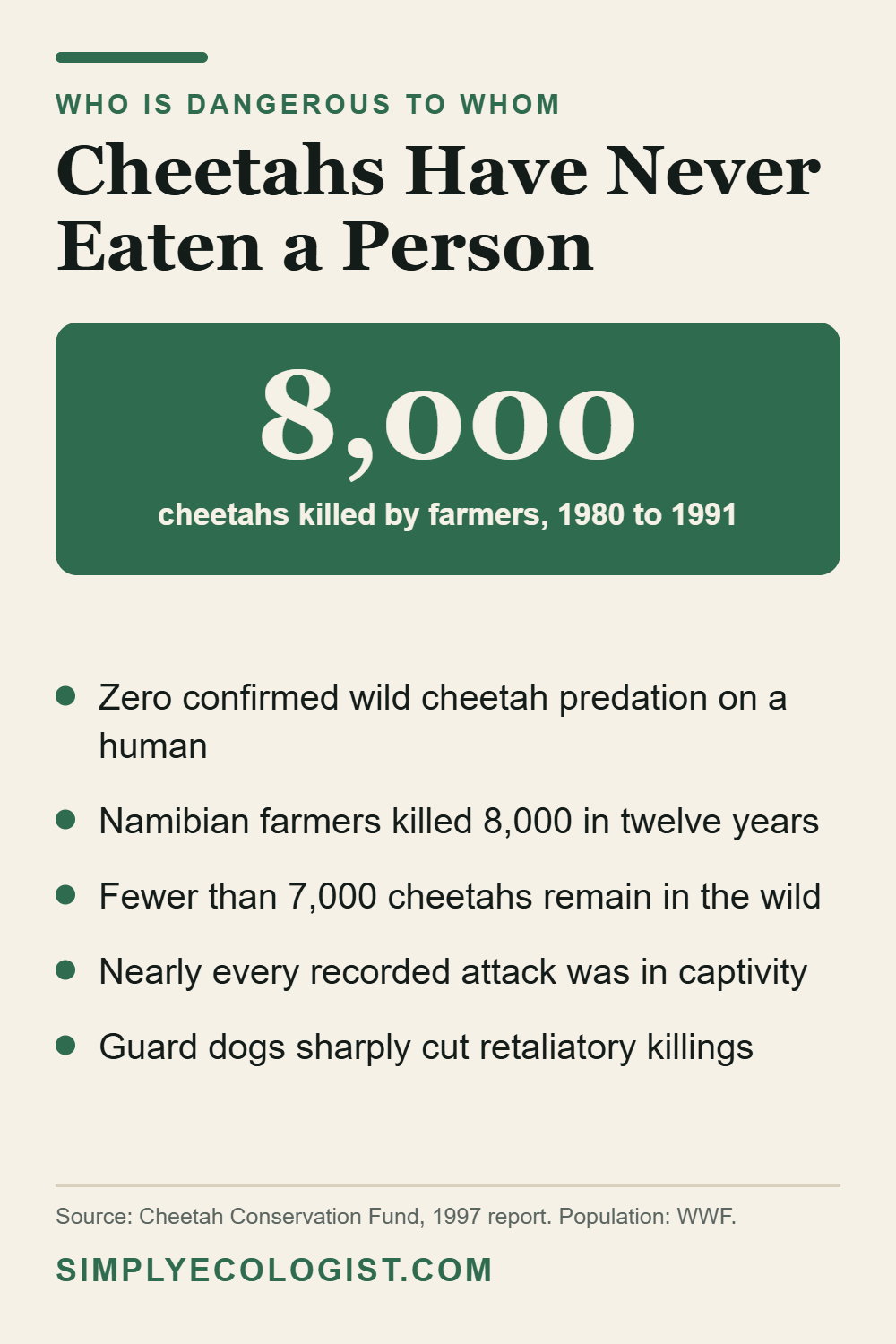 Cheetah danger facts showing 8,000 cheetahs killed by Namibian farmers between 1980 and 1991 versus zero confirmed wild attacks on humans