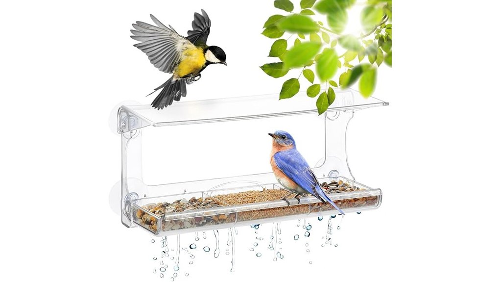clear suction cup window birdfeeder