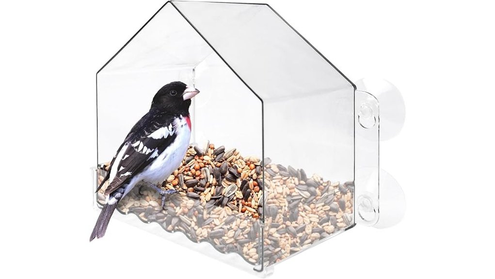 clear view two cup birdfeeder
