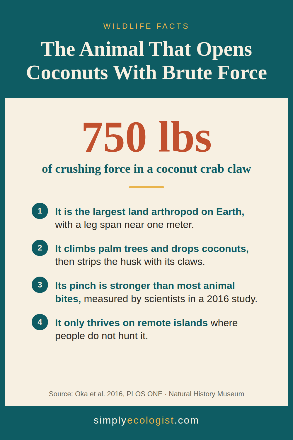What Animals Eat Coconuts 3 Coconut crab infographic showing 750 pounds of claw crushing force and facts about the largest land arthropod
