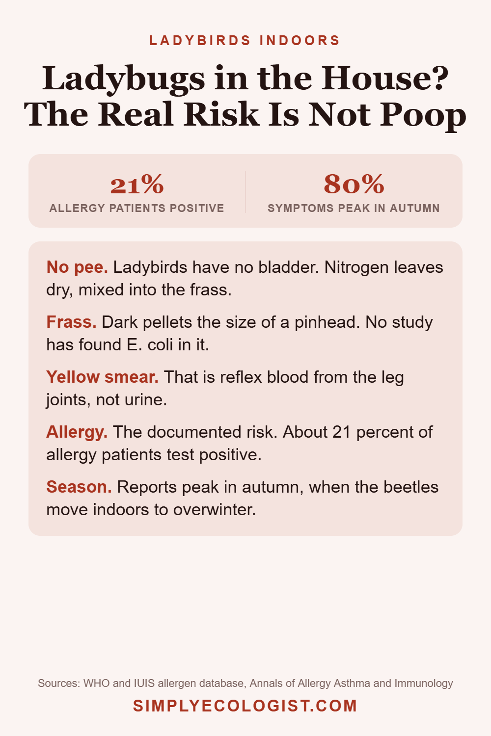 Do Ladybugs Pee and Poop? What They Really Leave Behind 4 Pinterest graphic titled Ladybugs in the House The Real Risk Is Not Poop, showing that 21 percent of allergy patients test positive to ladybird and symptoms peak in autumn, plus frass, reflex bleeding and no bladder facts