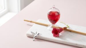 gifts for hummingbird enthusiasts
