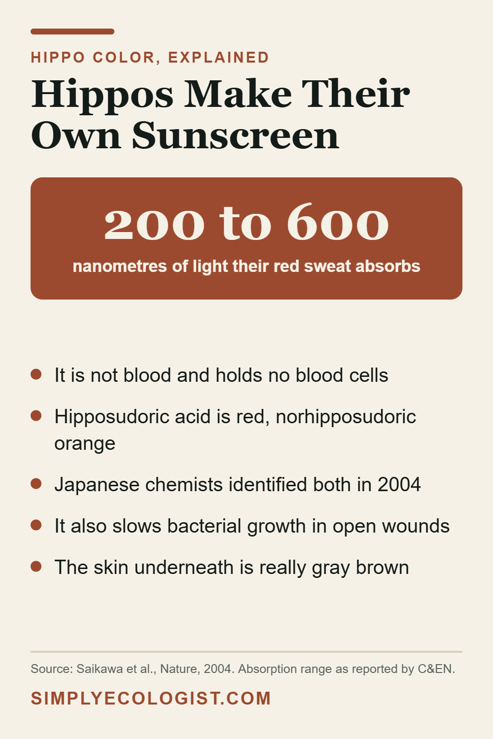 Hippo blood sweat explained, showing the 200 to 600 nanometre light range absorbed by hipposudoric and norhipposudoric acids