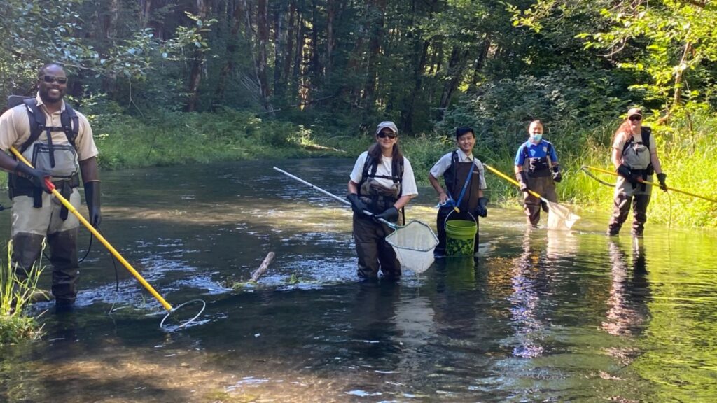 How Do Scientists Study Fish? 4 biologists electrofishing a stream