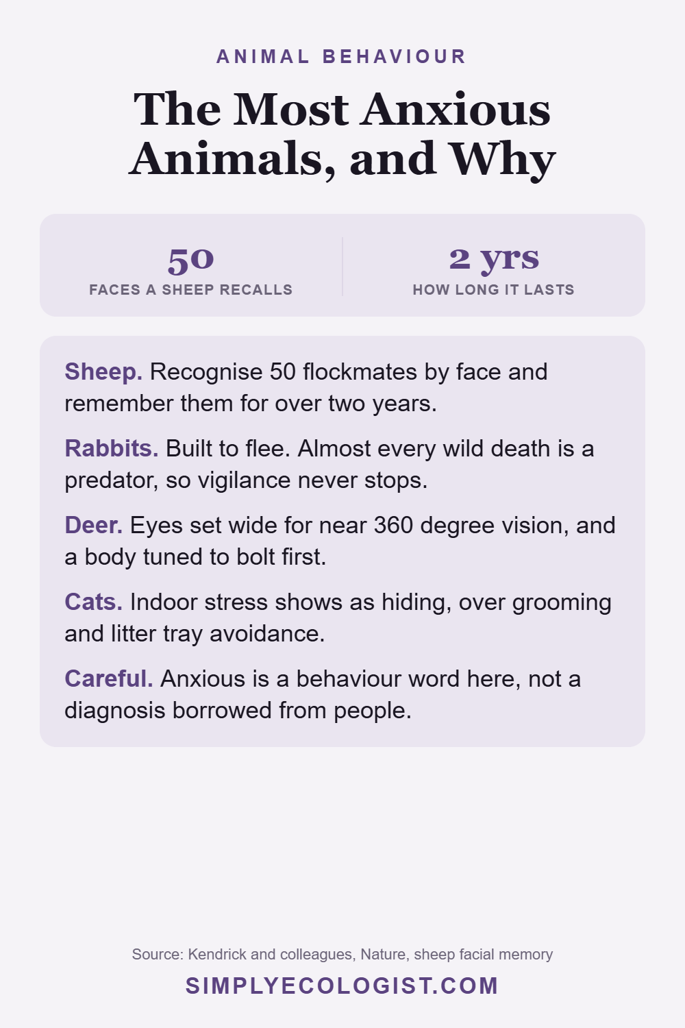 The Most Anxious Animals, and What Actually Drives It 10 Pinterest graphic titled The Most Anxious Animals and Why, showing that sheep recognise 50 flockmate faces and remember them for over two years, plus rabbit, deer and cat stress behaviour