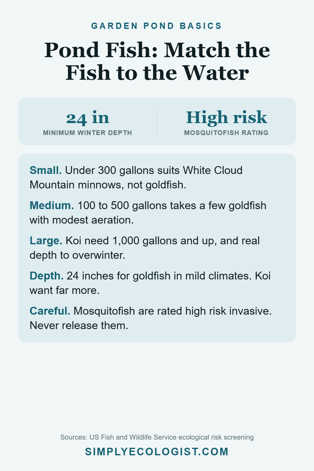 Pinterest graphic titled Pond Fish Match the Fish to the Water, showing 24 inches minimum winter depth and the high risk invasive rating for mosquitofish, plus stocking guidance by pond size