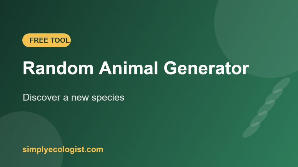 Random Animal Generator 1 Random Animal Generator free tool by Simply Ecologist