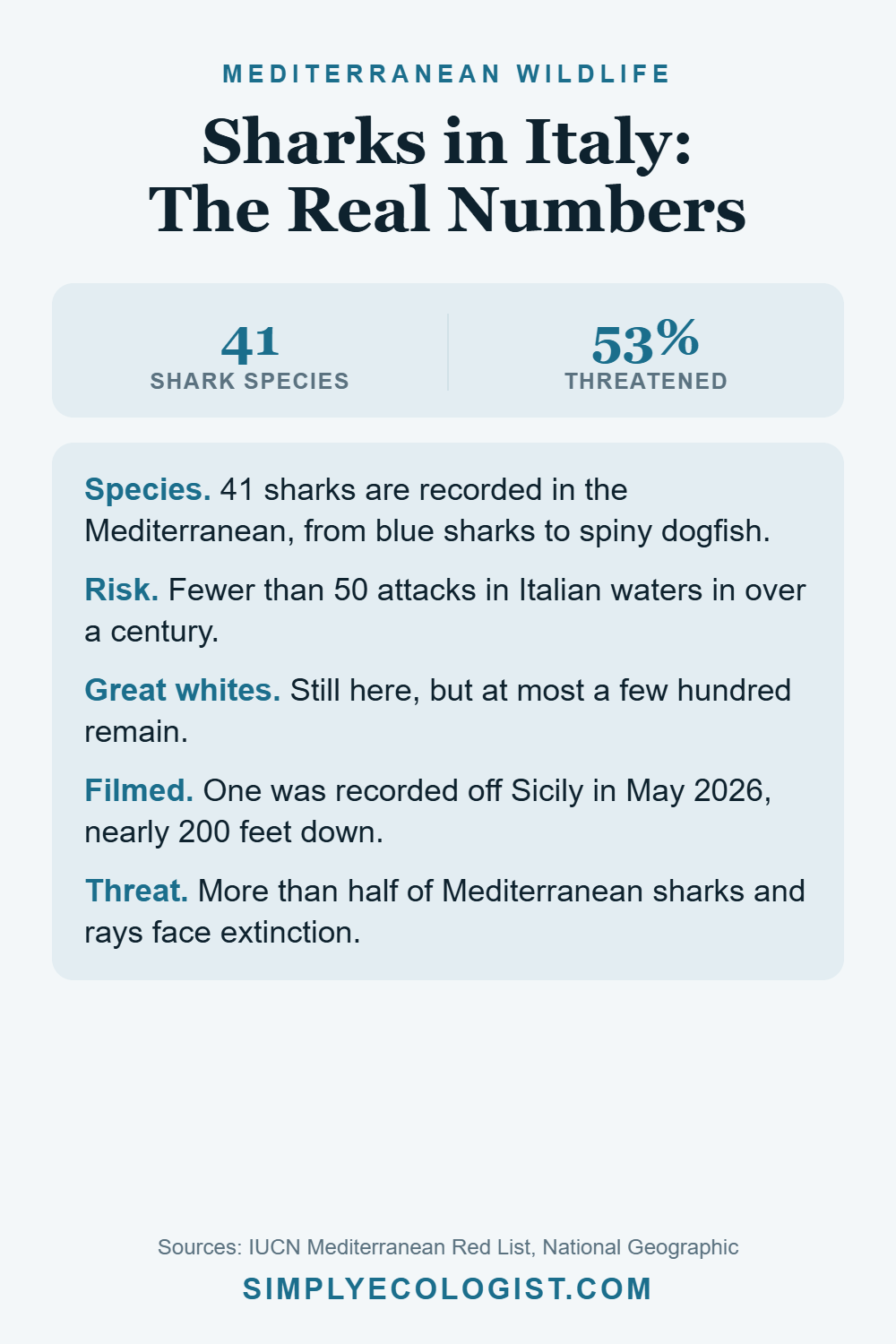 Are There Sharks in Italy? 41 Species, and a Great White Filmed Off Sicily 6 Pinterest graphic titled Sharks in Italy The Real Numbers, showing 41 shark species in the Mediterranean and 53 percent threatened, plus attack risk, great white numbers and the May 2026 Sicily sighting