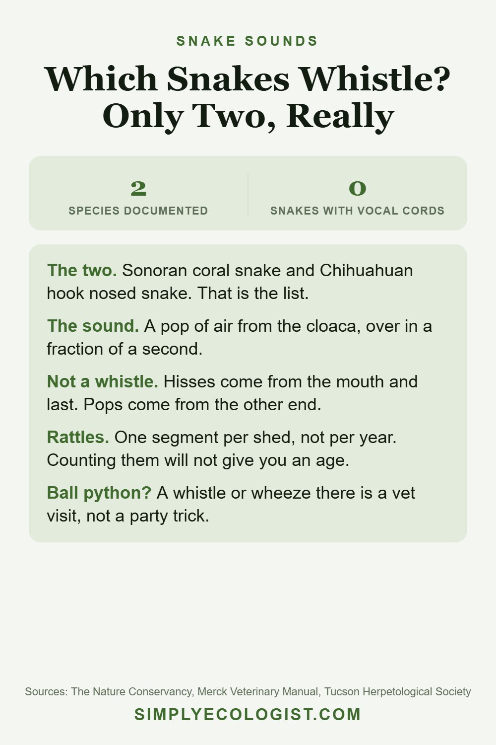 Pinterest graphic titled Which Snakes Whistle Only Two Really, showing that cloacal popping is documented in just two species and no snake has vocal cords, plus how to tell a hiss from a pop and why a whistling ball python needs a vet