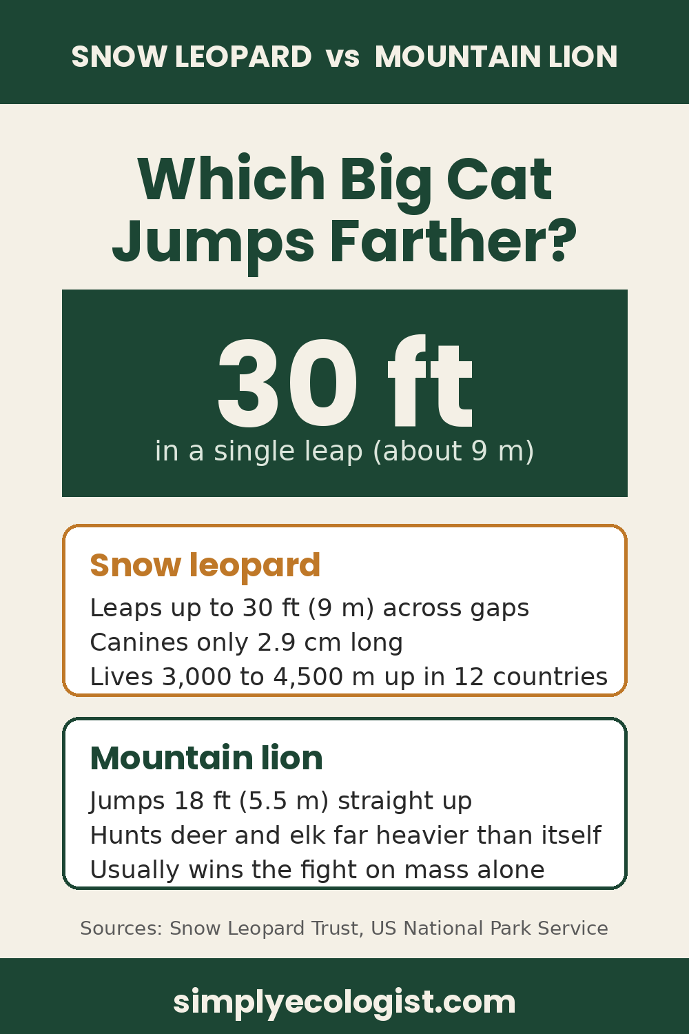 Snow leopard vs mountain lion infographic comparing leap distance: snow leopard 30 ft in a single leap, mountain lion 18 ft straight up