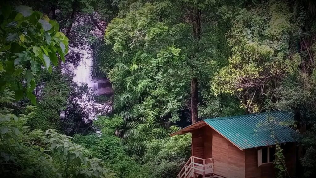 sri lanka jungle escape hiking trail treehouse waterfall view