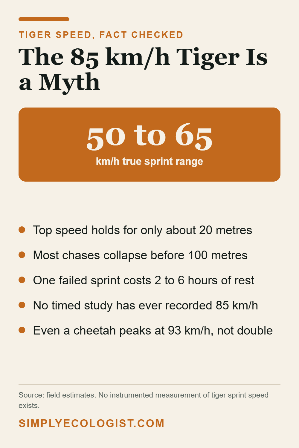 How Fast Can a Tiger Run 4 Tiger sprint speed fact check showing a true range of 50 to 65 km/h and debunking the 85 km/h claim