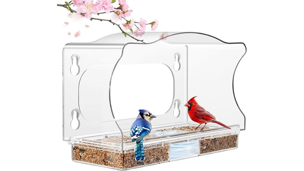 transparent window mounted bird feeder