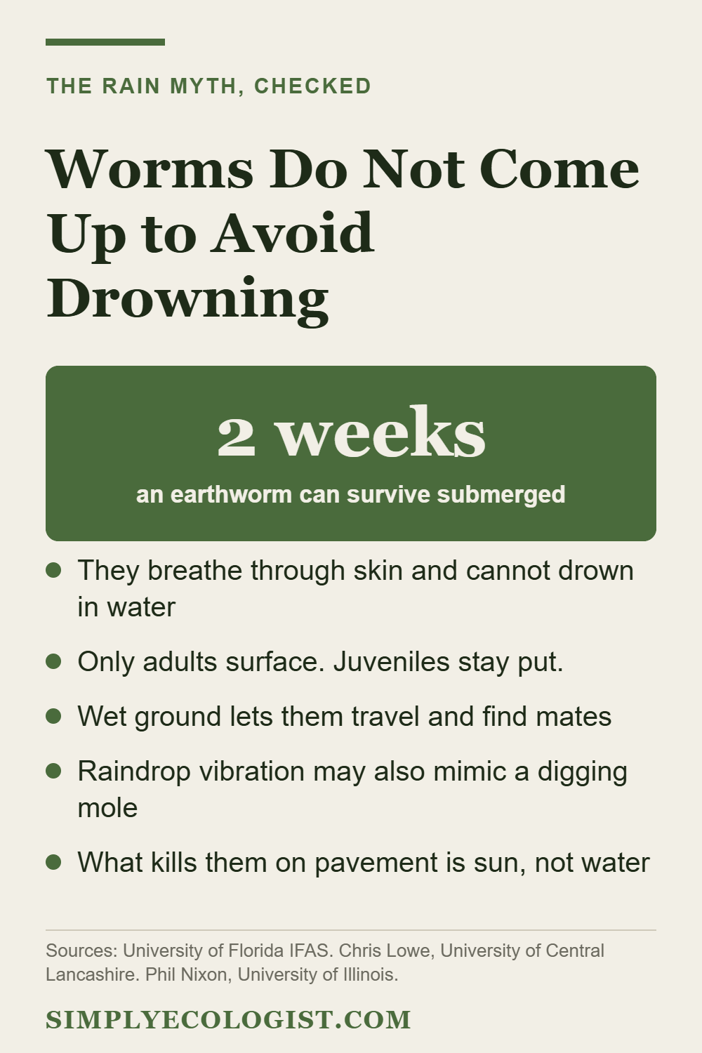 What Animals Eat Worms 25 Infographic explaining that earthworms do not surface after rain to avoid drowning, and can survive submerged for two weeks