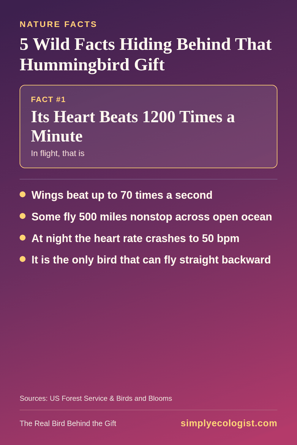 Top Gifts Hummingbird Lovers Are Buzzing About 11 Real hummingbird facts: wing beat rate, in-flight heart rate, torpor heart rate, and nonstop Gulf of Mexico migration distance