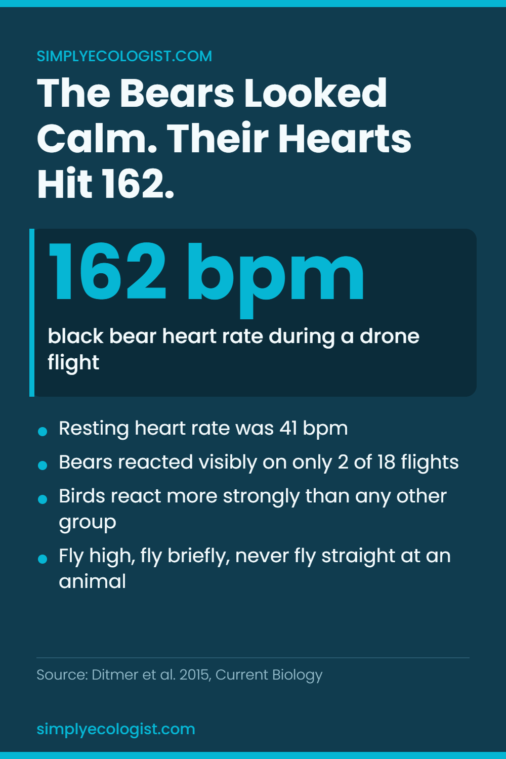 Chart showing a black bear heart rate rising from 41 to 162 beats per minute during a drone flight, from a 2015 Current Biology study on wildlife disturbance by drones