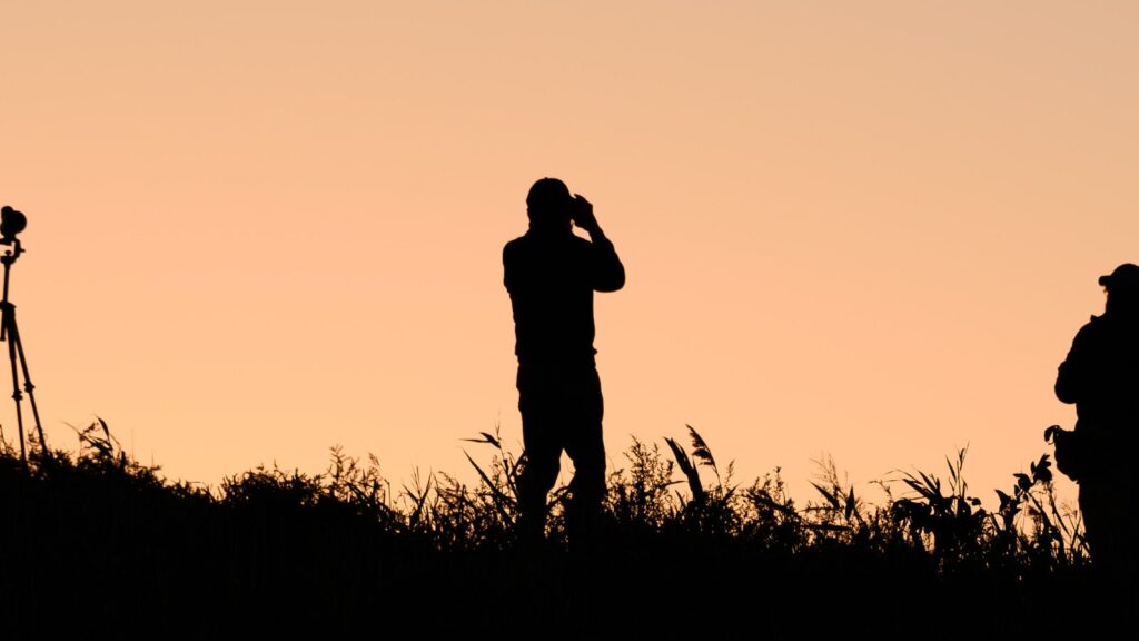 10 Best Bird Watching Binoculars With Phone Adapter to Enhance Your Nature Experience 24 Three birdwatchers silhouetted at dawn using binoculars and spotting scopes on tripods