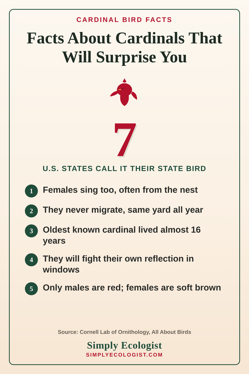 The Best Cardinal Gifts That Wow Any Fan 10 Infographic listing 5 surprising Northern Cardinal facts, including that females sing, cardinals do not migrate, and only males are red