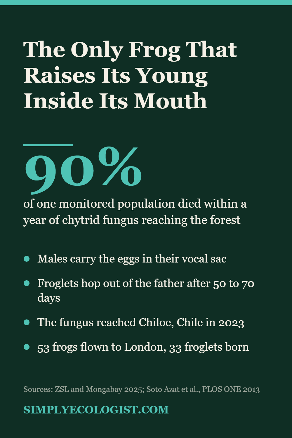 Darwin's Frog (Rhinoderma darwinii): The Frog That Raises Its Young in Its Mouth 17 Darwin's frog infographic showing that it is the only frog that raises its young inside its mouth and that chytrid fungus killed 90 percent of one monitored population in a year