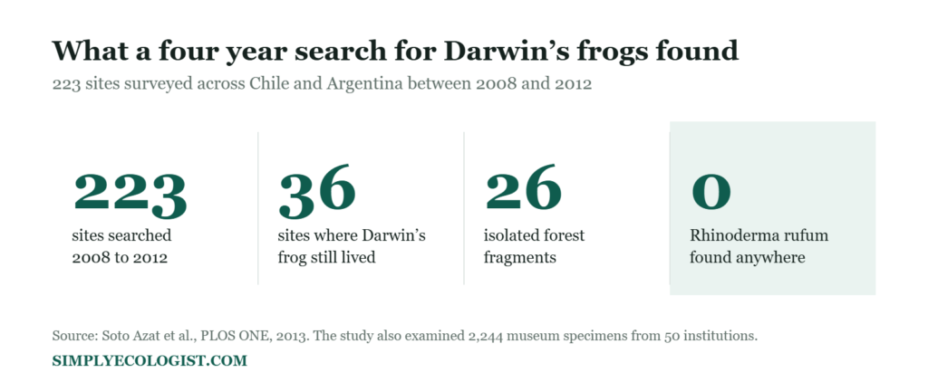 Darwin's Frog (Rhinoderma darwinii): The Frog That Raises Its Young in Its Mouth 18 Statistics panel showing 223 sites searched, 36 sites where Darwin’s frog still lived, 26 isolated forest fragments, and zero Rhinoderma rufum found
