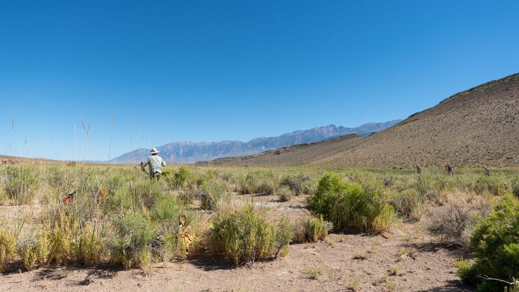 What tools do ecologists use? 11 An ecologist surveying a rare plant population in open desert scrub with a measuring tape and data sheets