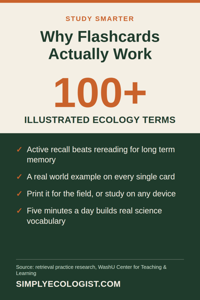 Pinterest graphic explaining why retrieval-practice flashcards help you learn ecology terms faster