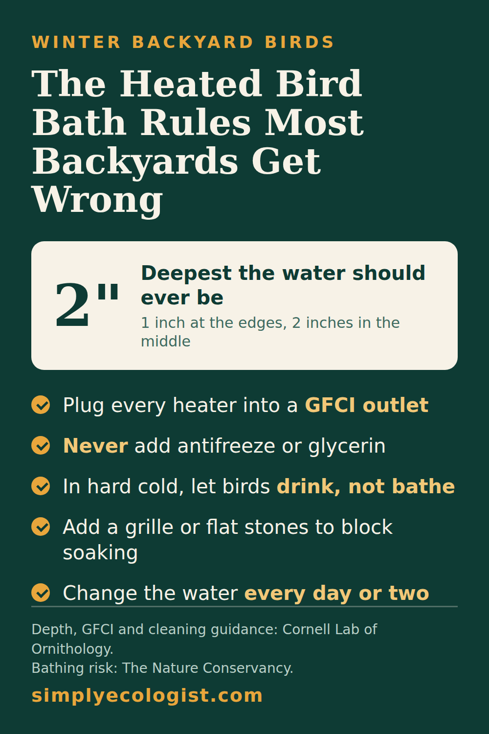 Heated Bird Baths for Winter: 20 Picks and the Depth Rule Most People Miss 9 Heated bird bath safety rules infographic: water 1 inch deep at the edges and 2 inches in the middle, a GFCI outlet, no antifreeze, and letting birds drink rather than bathe in hard cold