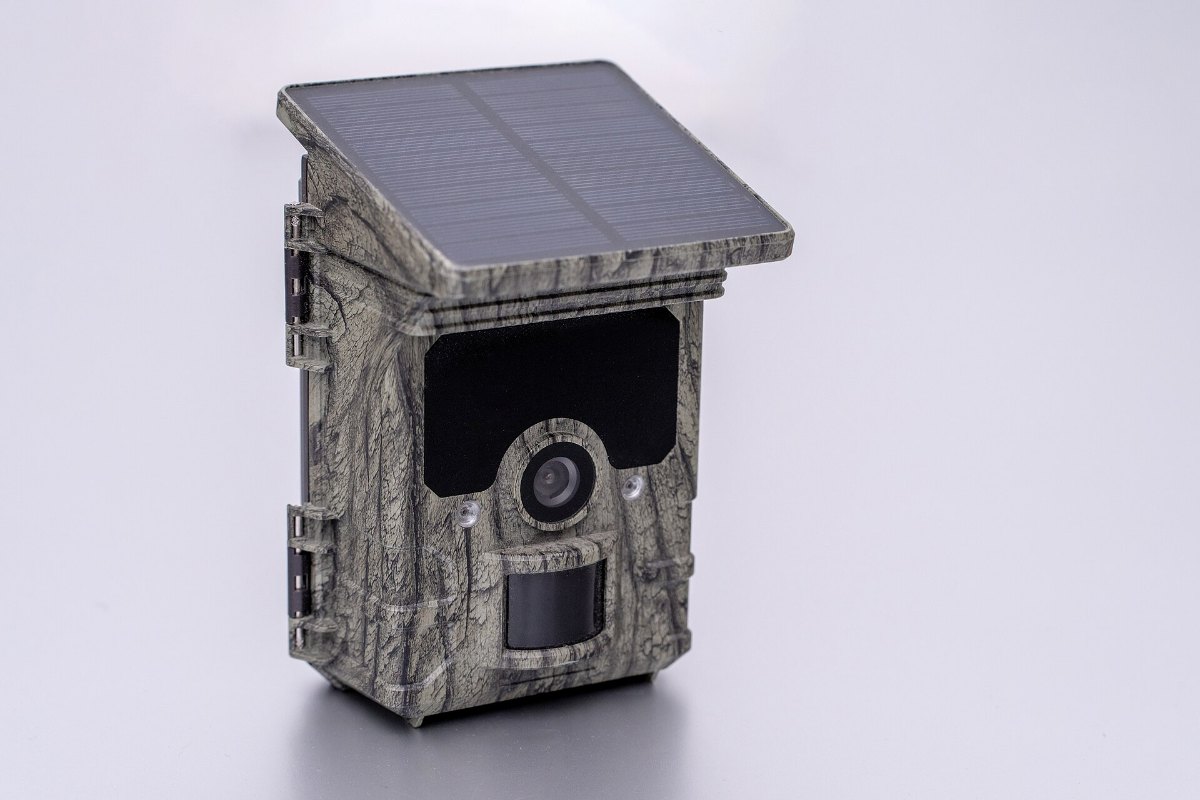 A wildlife camera trap with motion sensor and night vision