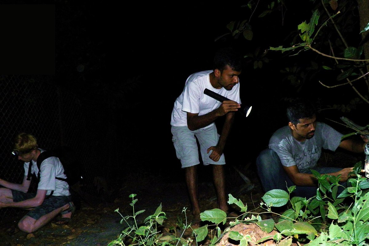 Researchers working at night during a mammal survey