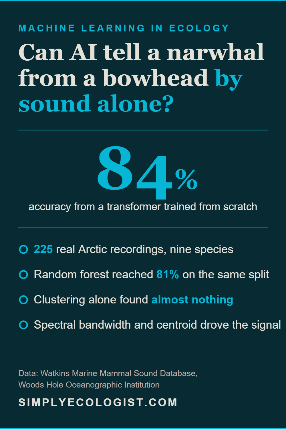 Can AI Tell a Narwhal From a Bowhead Whale by Sound Alone? 11 A transformer trained from scratch on 225 real Arctic marine mammal recordings reached 84 percent accuracy, just ahead of a random forest at 81 percent